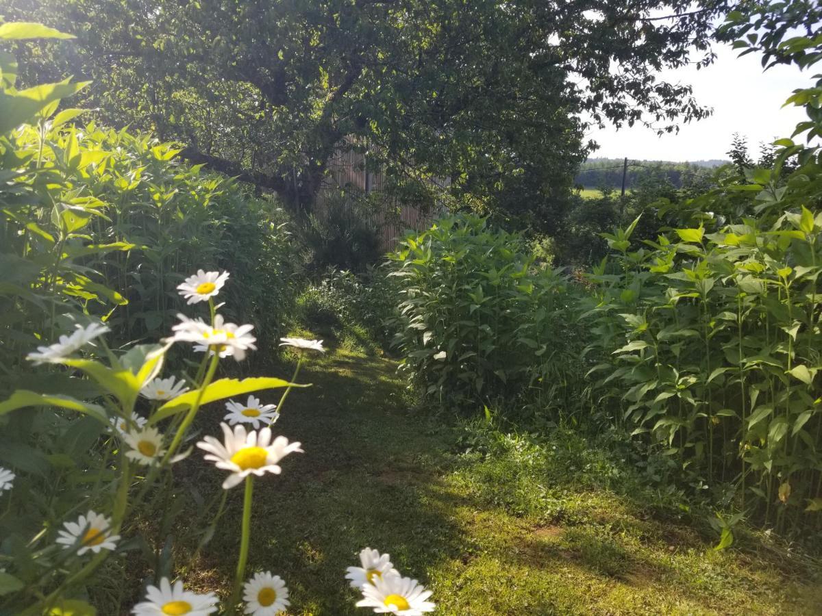 Le Petit Paradis, Mini Maison,Nature,Confort,Calme Saint-Julien-le-Petit Luaran gambar